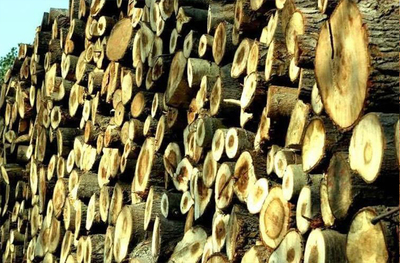 出售树木时收获的主要木材产品-您在木材销售时可能拥有的林产品